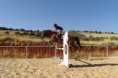 /album/caballos2/dsc02681-jpg/